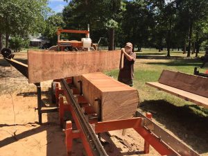 sawmill lumber