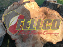 fellco-tree-and-tractor-tomball-tx-about-us